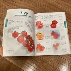 花図鑑　野菜+果物の画像