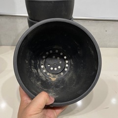 塊根植物用　Black pot 純正　4個の画像