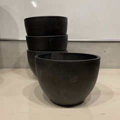 塊根植物用　Black pot 純正　4個