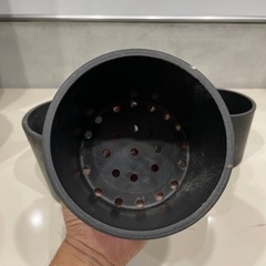 塊根植物用　Black pot 5個セットの画像