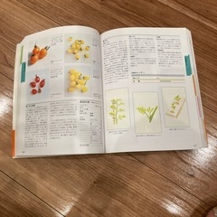 花図鑑　野菜+果物の画像