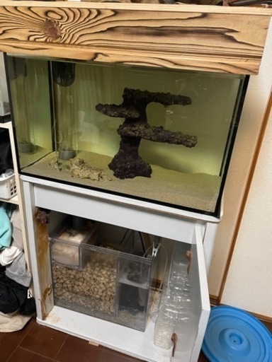 海水魚使用60cm水槽オーバーフロー割れ無し三重菅　本日引き取りに来れる方5000円で。