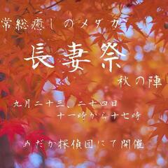 めだかイベント『長妻祭✨秋の陣』めだか探偵団にて開催します✨