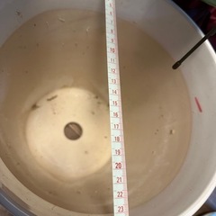 【2鉢】植木鉢の画像