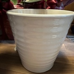 【2鉢】植木鉢