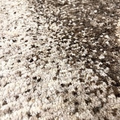 unico】MOSTEラグ（120×180cm）【レアカラー】