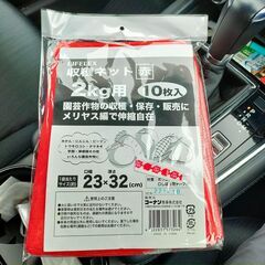 【宮崎県】カエルを採取していただき、送っていただくお仕事です🐸の画像