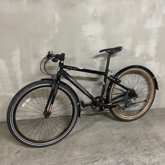 LOUIS GARNEAU LGS-CS5