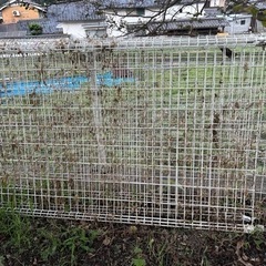中古フェンス(白)