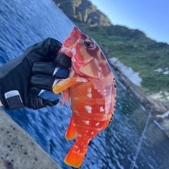釣り仲間募集 - 広島市