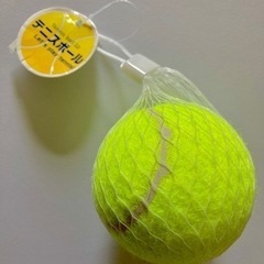 【お譲り先決定済】【差し上げます】テニスボール🎾 