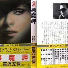 【ノベルズ古本】笹沢佐保「悪魔岬(初版１刷)」・・・不倫の恋の清算のための心中で生き残ってしまった女・・・の画像