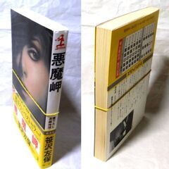 【ノベルズ古本】笹沢佐保「悪魔岬(初版１刷)」・・・不倫の恋の清算のための心中で生き残ってしまった女・・・の画像