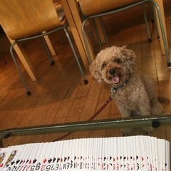 【親子マジック教室】トランプ、コイン、日用品で楽しく演じましょう😊の画像