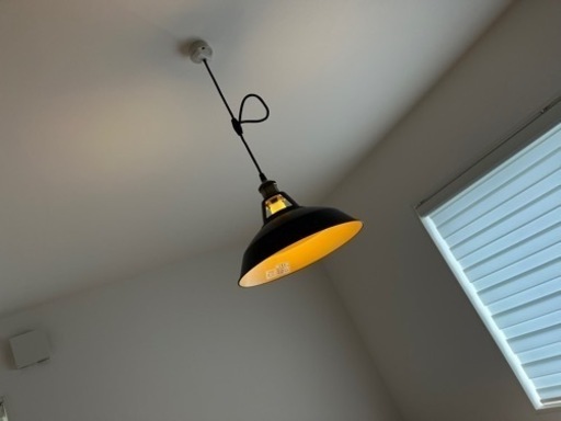 ペンダントライト（器具と電球）