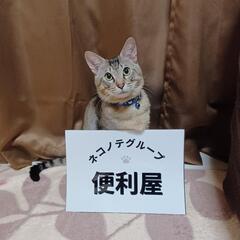 あなたの街の便利屋さんネコノテグループ