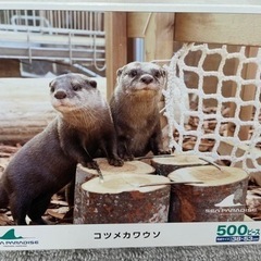 カワウソパズル　額縁付き