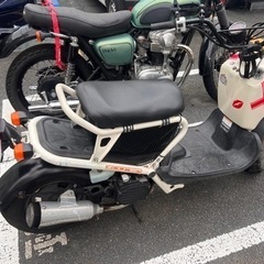 HONDA ズーマー50cc 半ジャンク　売り切れ