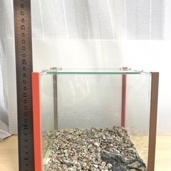 【受け渡し決定】ミニ水槽セットの画像