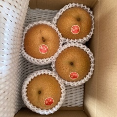 新甘泉　ご贈答　大玉4 東郷梨