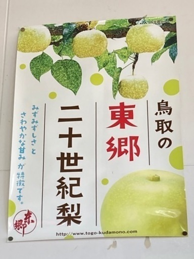 二十世紀梨　東郷梨　訳あり　10kg箱いっぱい