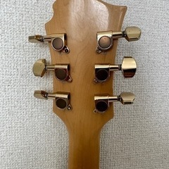 FERNANDES MG-80X？ 145s風モッキンバードの画像