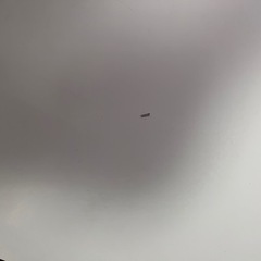 ダイニングテーブル 伸長式の画像