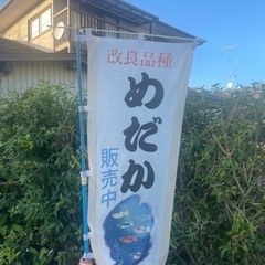 ✨️星の煌ワンペ売り✨️ - 石巻市