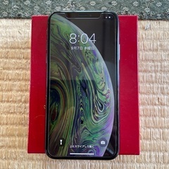 iPhone Xs Space Gray 64 GB docomo