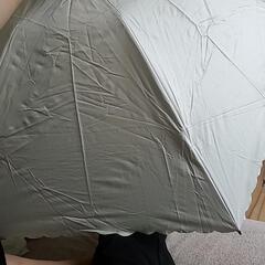 折り畳み傘 バラでもOK 9/28まで！の画像