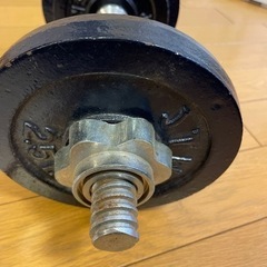 鉄アレイ　8㎏の画像