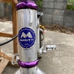 トライアル　モンティ　MONTY   20インチの画像