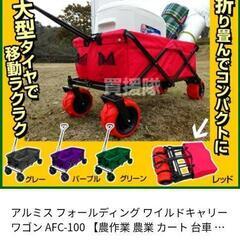 ワイルドキャリー　アウトドア　新品未使用