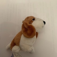ハッシュパピー　ミニぬいぐるみの画像
