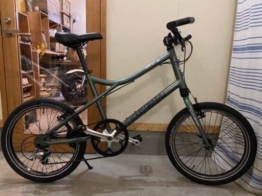 自転車　小径車　20インチ　ルイガノ　mv-2