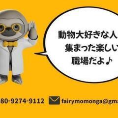ペット用品発送スタッフ募集の画像