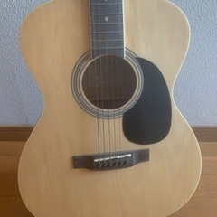ZENN ZS18 アコースティックギターの画像