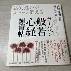 ボールペン般若心経　練習帖