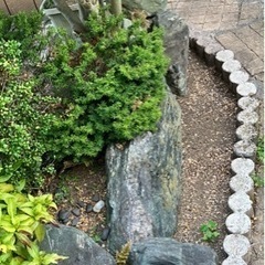 庭石　あげます