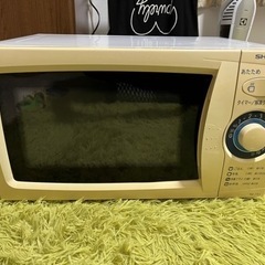 電子レンジ温め専用です。