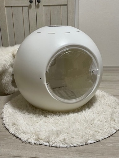 【9/11まで】ドライルーム　犬猫OK