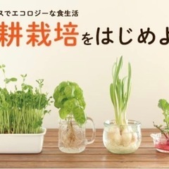 水耕栽培キットの中古が安い！激安で譲ります・無料であげます
