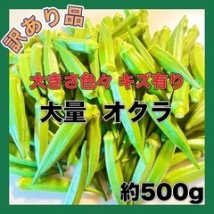 訳あり オクラ 約500g入り 200円 数量限定 大量1.5k...