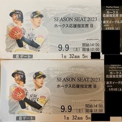 [値下]9/9(土)PayPayドーム楽天戦14:00〜応援席5列目