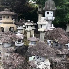 庭石　庭木　灯篭　譲ってください。