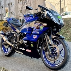 【超美品】ヤマハ yzf-r25 カスタム満載 2018年式 ABS