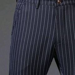 ストライプズボンの画像