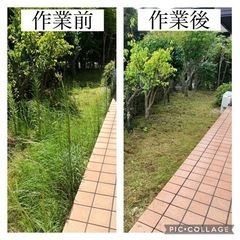 一旦終了◯草刈り、撤去、清掃などの軽作業◯日給8,000円の画像