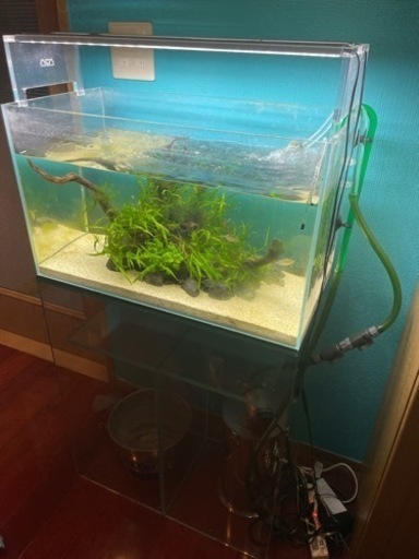 ADA 60センチ水槽　一式