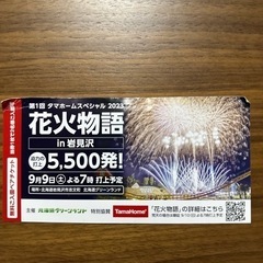 【お取引中】三井グリーンランド 花火大会 無料入園チケット